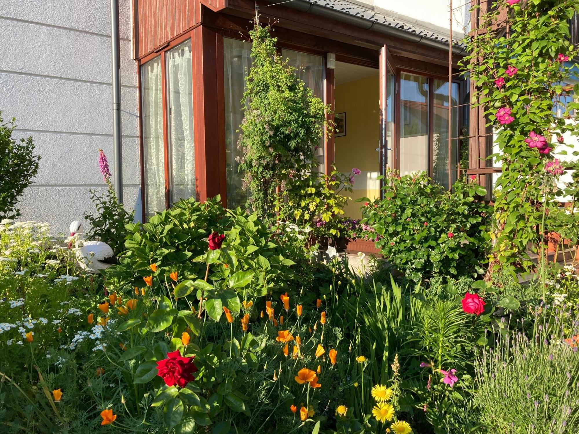Casa Blanca Lejlighed Jastarnia Eksteriør billede